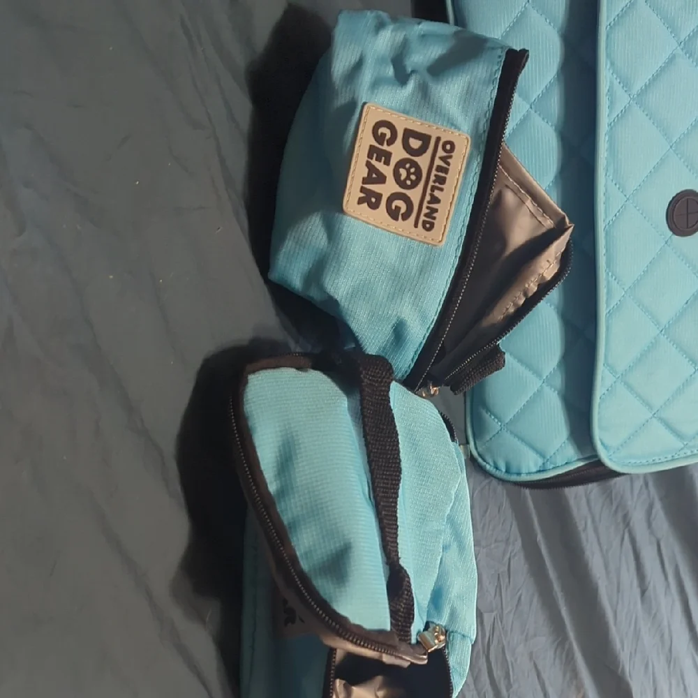 Aqua Quilted Backpack
